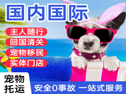 南充高坪空运公司国际宠物托运 【国